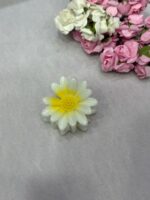 کلیپس گل | 1044 - تصویر 5